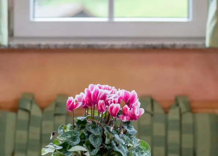 Apartment Castelbell